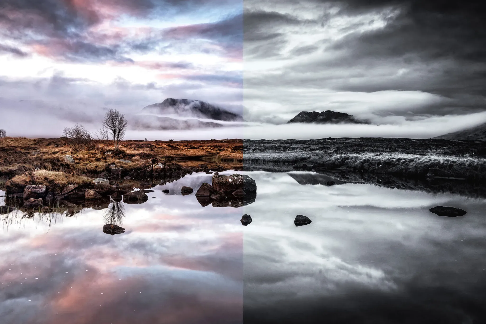 Color & Black & White